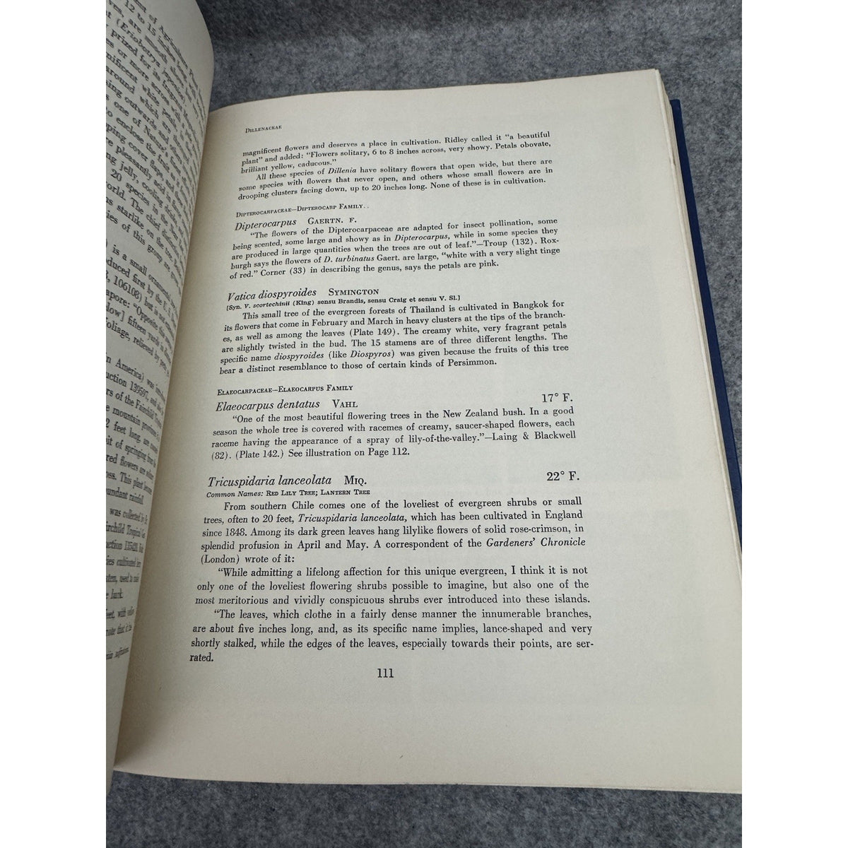 1962 Flowering Trees of the World Edwin A Menninger 1st Edition HC