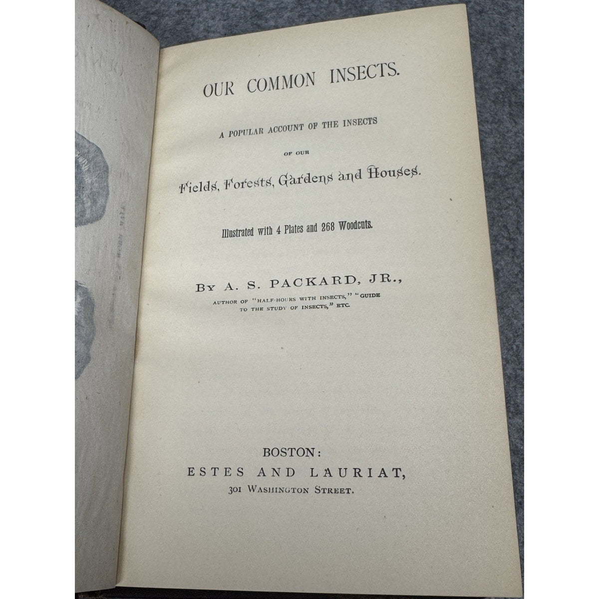 Our Common Insects c1873 A S Packard Antique Illustrated Entomology Hardcover