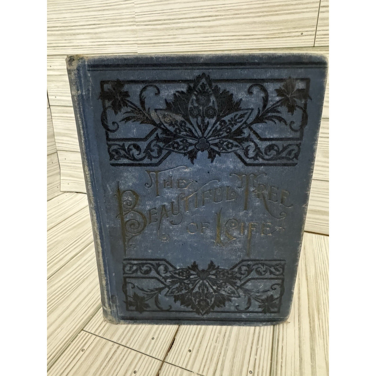 The Beautiful Tree of Life 1892 H.S. Smith B.F. Johnson Richmond VA HC