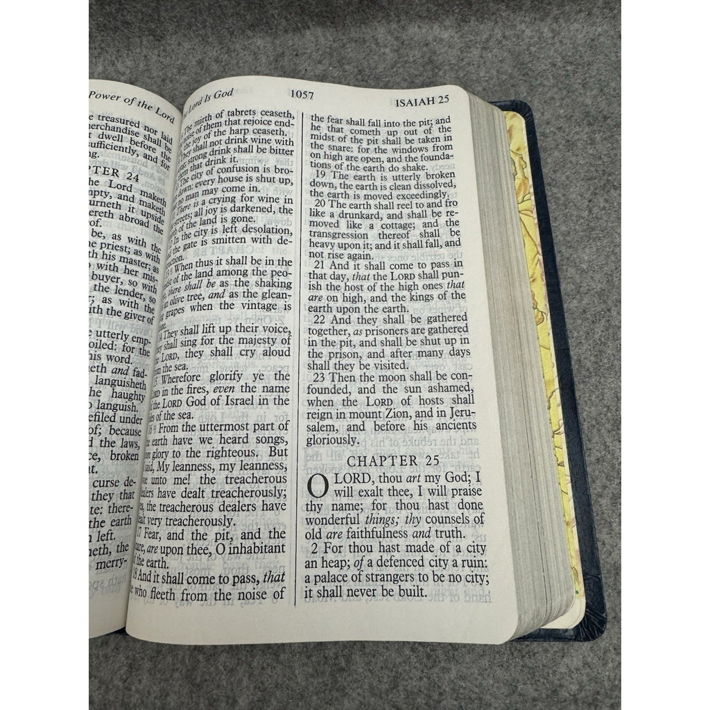 Holy Bible KJV Giant Print Red Letter Edition Pictorial Edition Regency 1973