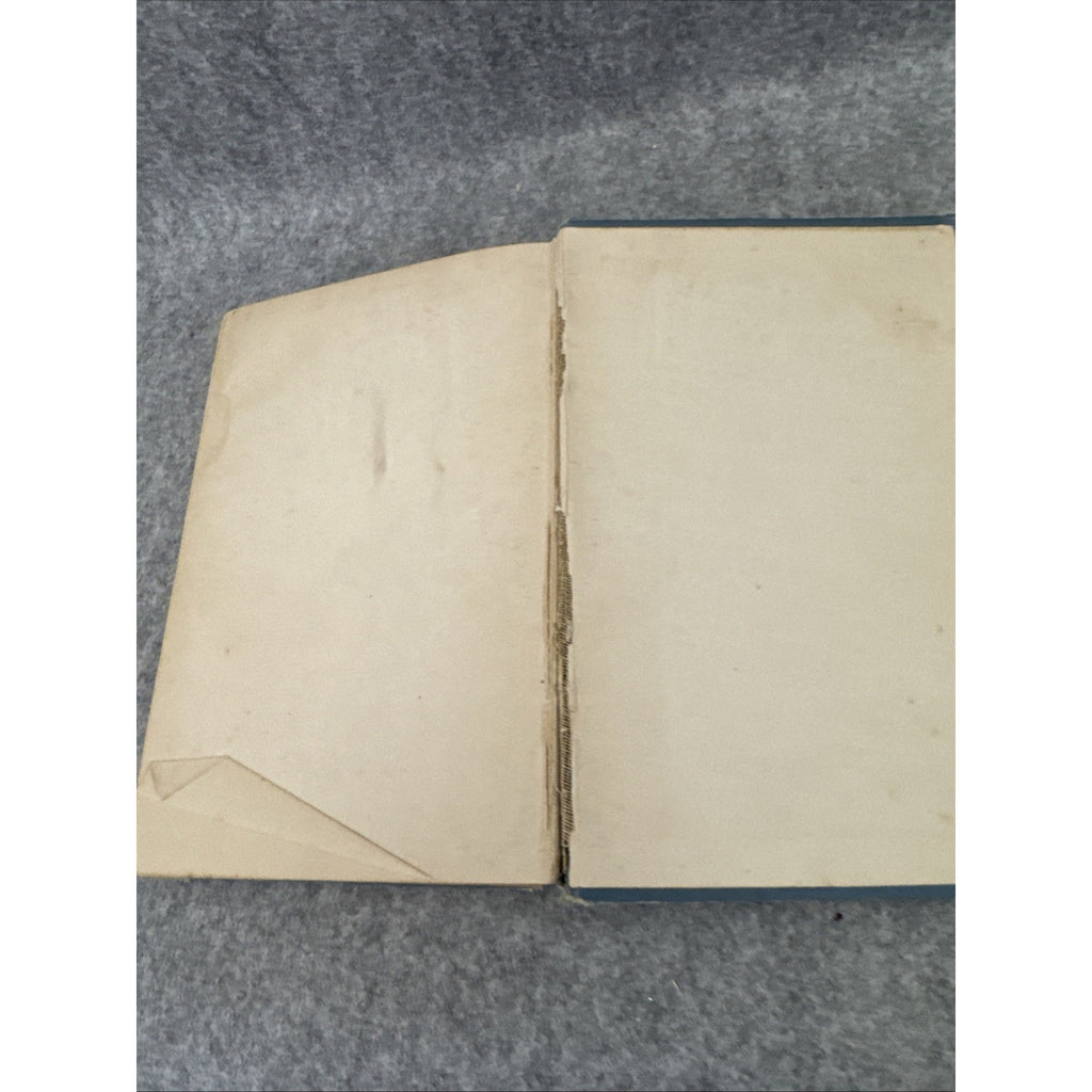 The Sea-Wolf By Jack London First Edition First Printing Macmillan October 1904