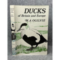 Ducks of Britain and Europe M.A. Ogilvie 1975 1st Edition HC DJ Illustrated