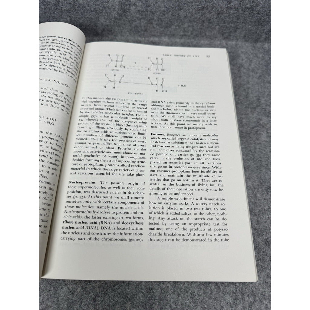 Zoology Alfred M Elliott 1963 3rd Edition Vintage Illustrated Biology Textbook