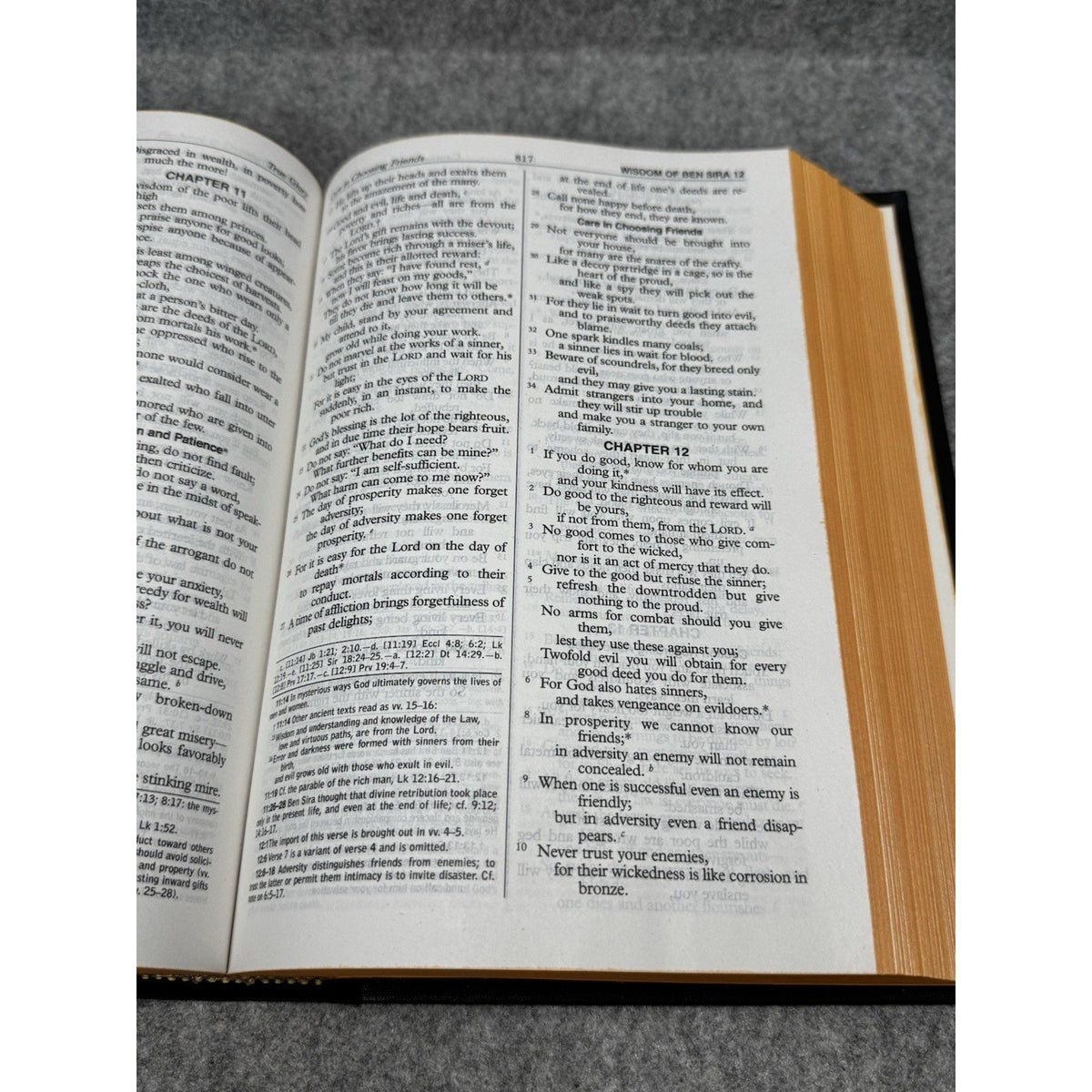 St Joseph New American Bible Revised Edition Large Type Illustrated Hardcover.