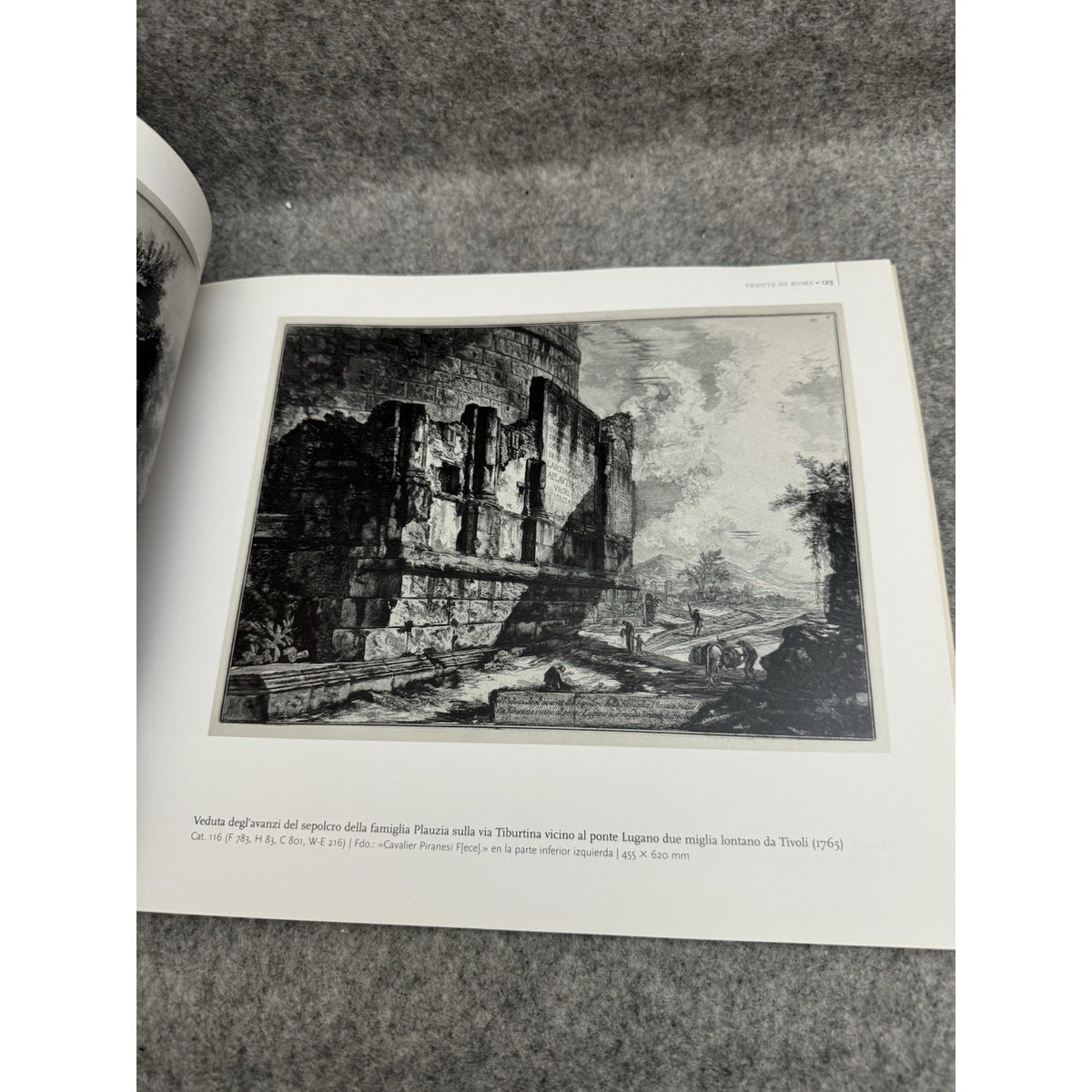 Los Piranesi de Montserrat 2006 Softcover Exhibition Catalog Spanish Art