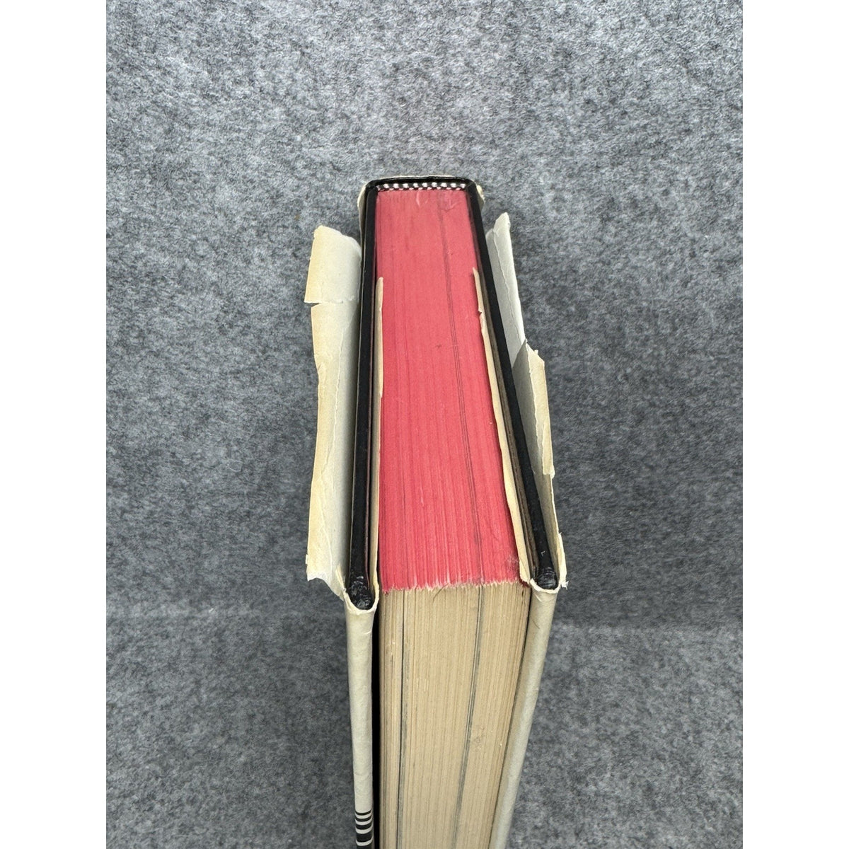The Rise of the Luftwaffe 1918–1940 Herbert Molloy Mason Jr 1973 First Printing