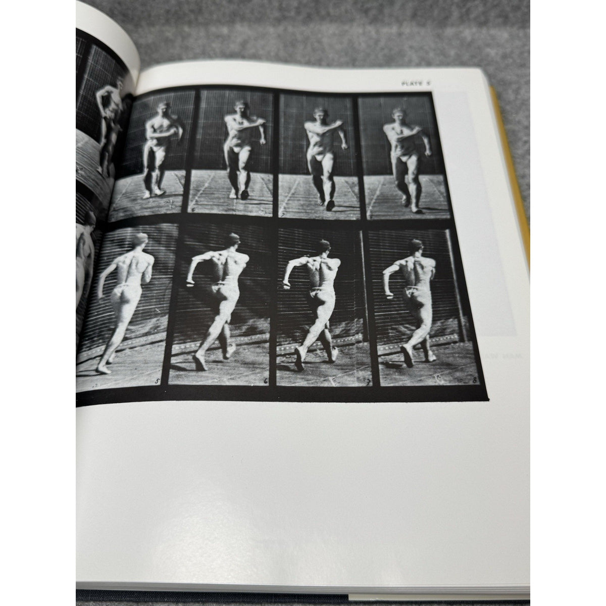 The Human Figure in Motion Eadweard Muybridge 1955 Copyright HC DJ Photography