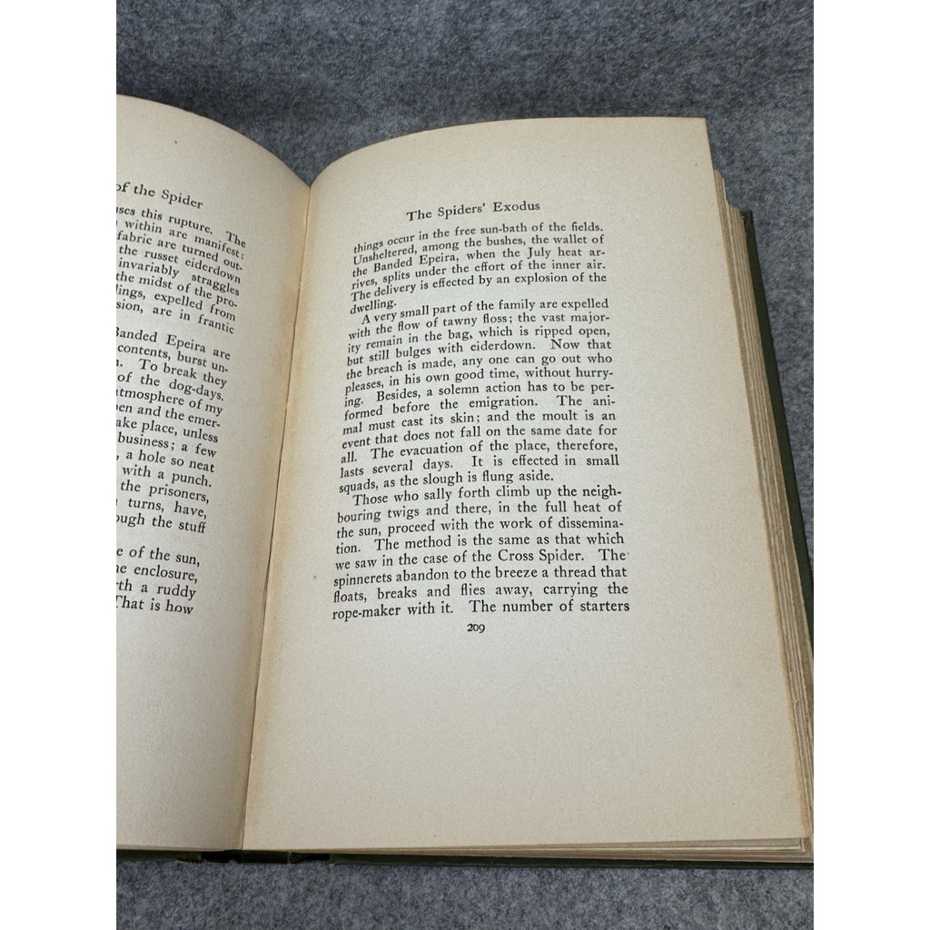 1919 The Life of the Spider J Henri Fabre Illustrated Decorative Hardcover