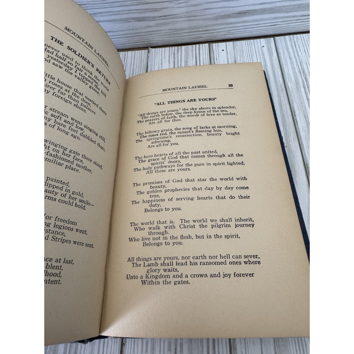 Mountain Laurel and Other Poems W Lomax Childress 1924 HC