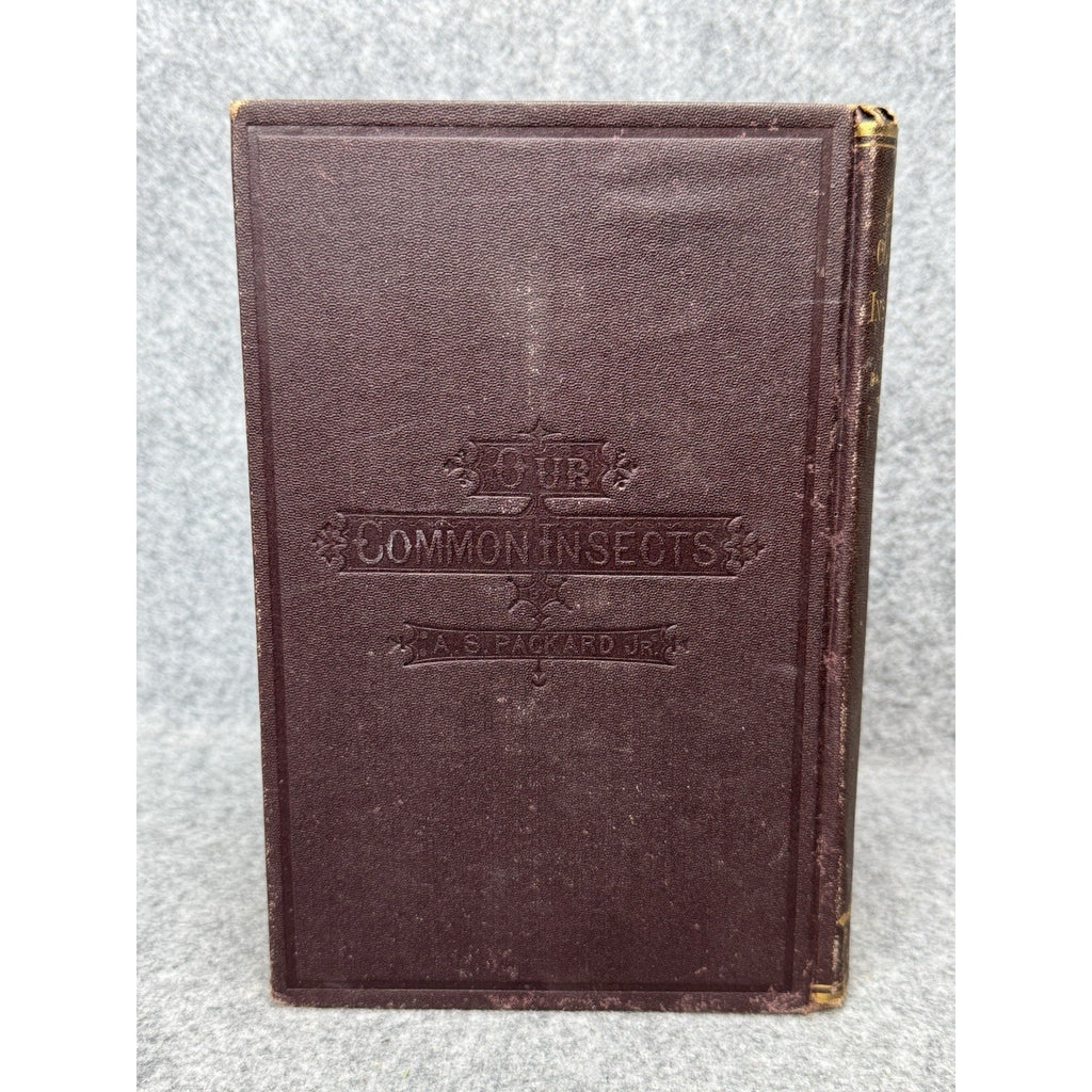 Our Common Insects c1873 A S Packard Antique Illustrated Entomology Hardcover