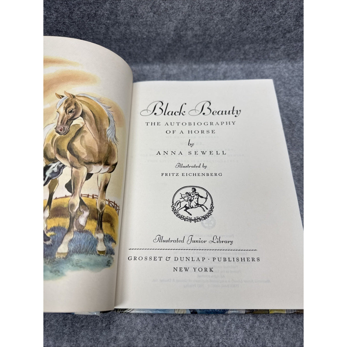 BLACK BEAUTY by Anna Sewell HARDCOVER Illustrated Junior Library 1993 Eichenburg