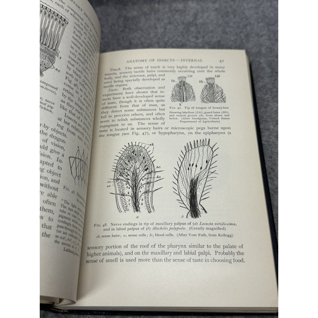 1912 Elementary Entomology Sanderson & Jackson Illustrated Insects Hardcover