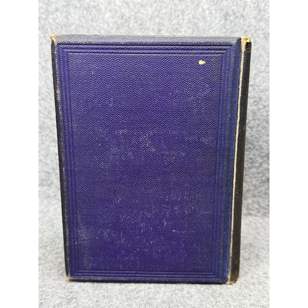 c.1872 The Insect World Louis Figuier 579 Illustrations Antique Gilt Hardcover