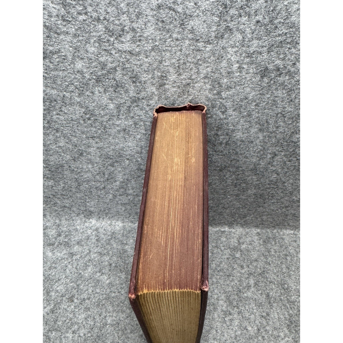 1929 Joseph and His Brethren H.W. Freeman 1st Ed Rural English Farm Novel