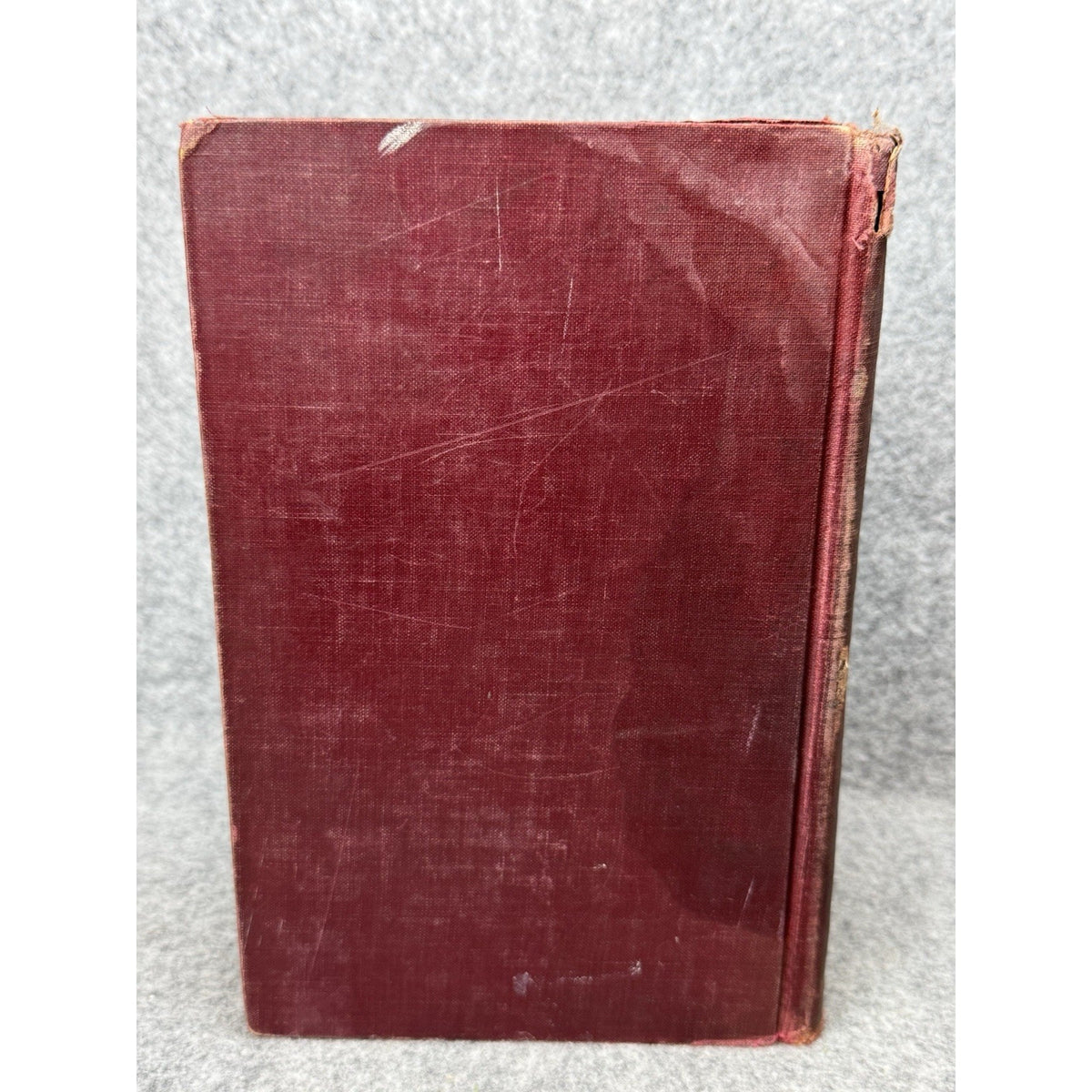 1927 Manual of Injurious Insects Glenn W Herrick Illustrated Entomology HC