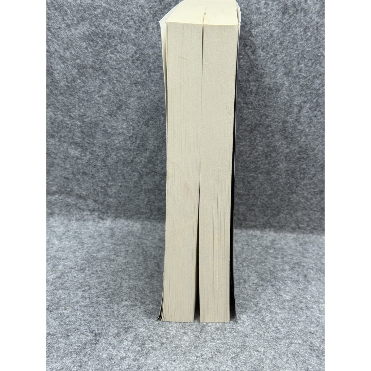 Cybersecurity Bible Hugo Hoffman 4 Books in 1 Network Security 2020 PB