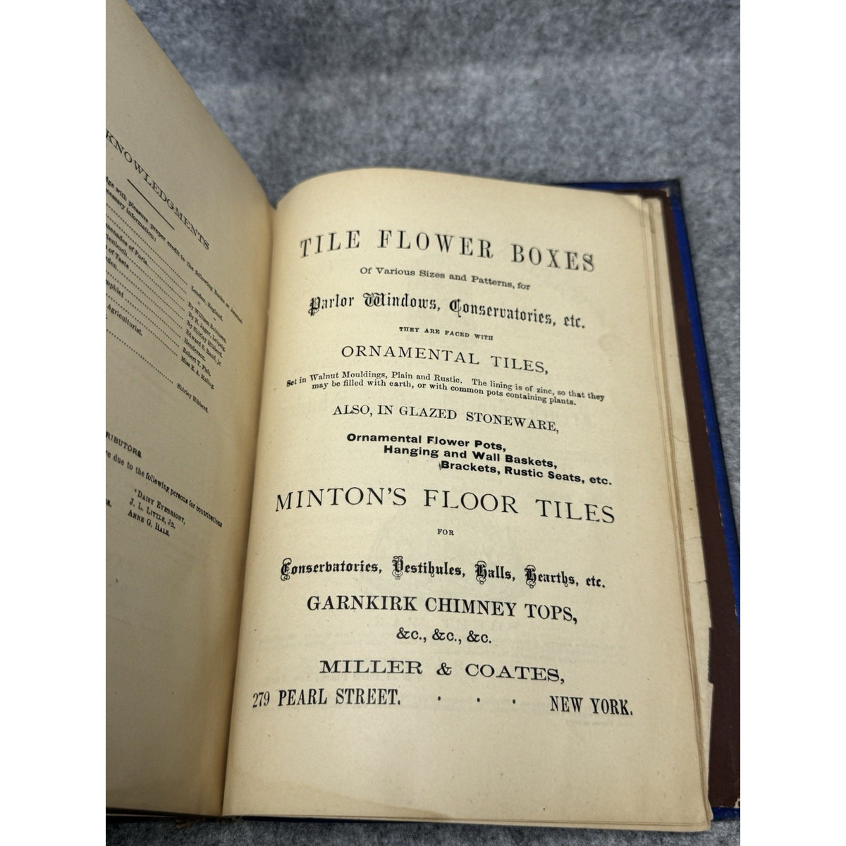 1877 Window Gardening Henry T Williams Illustrated Victorian Plants Hardcover