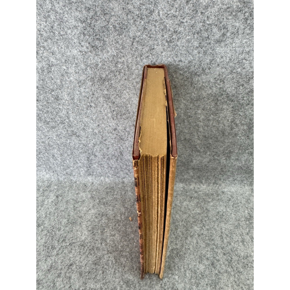 1949 Strong Citadel Katherine Newlin Burt Hardcover w/ Dust Jacket