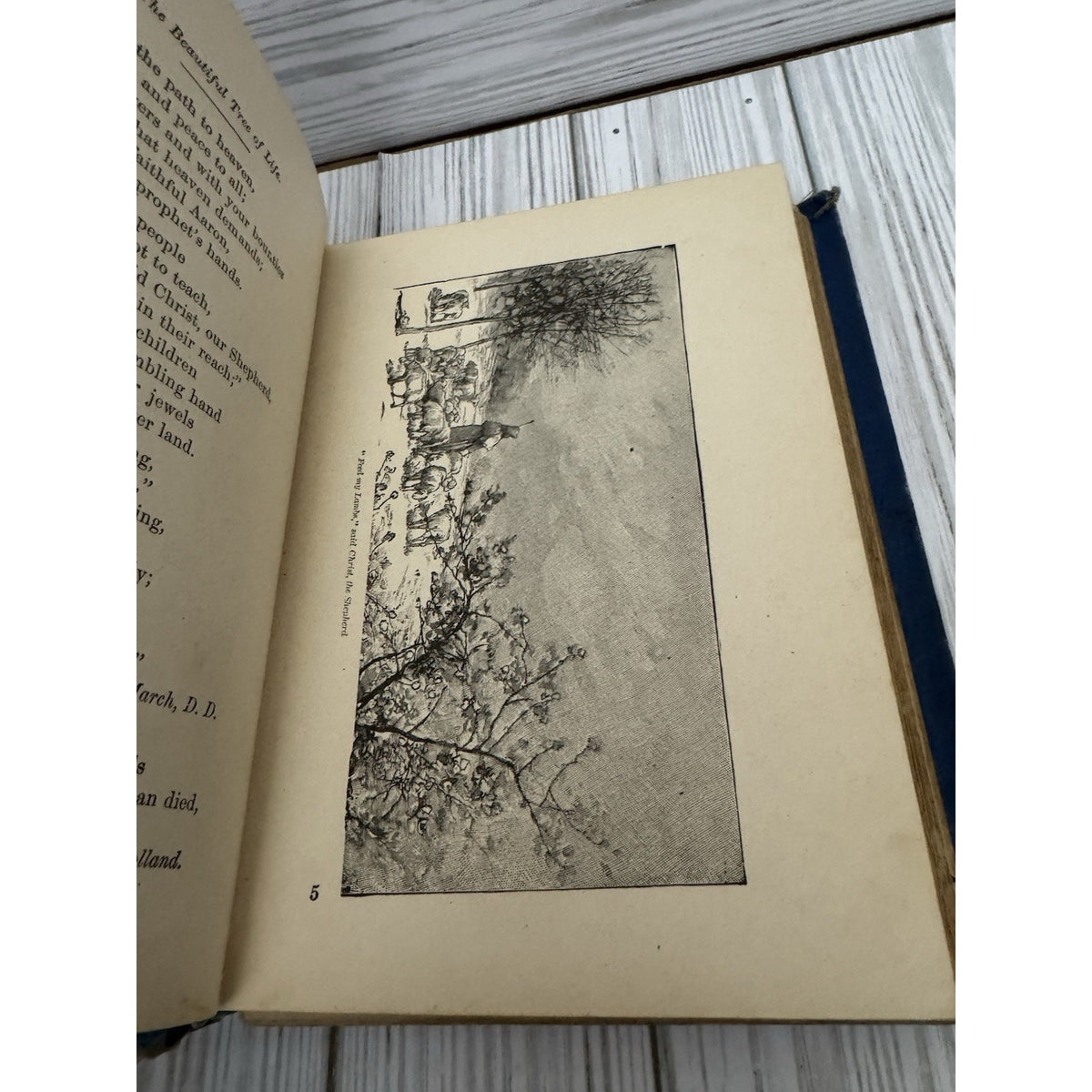 The Beautiful Tree of Life 1892 H.S. Smith B.F. Johnson Richmond VA HC