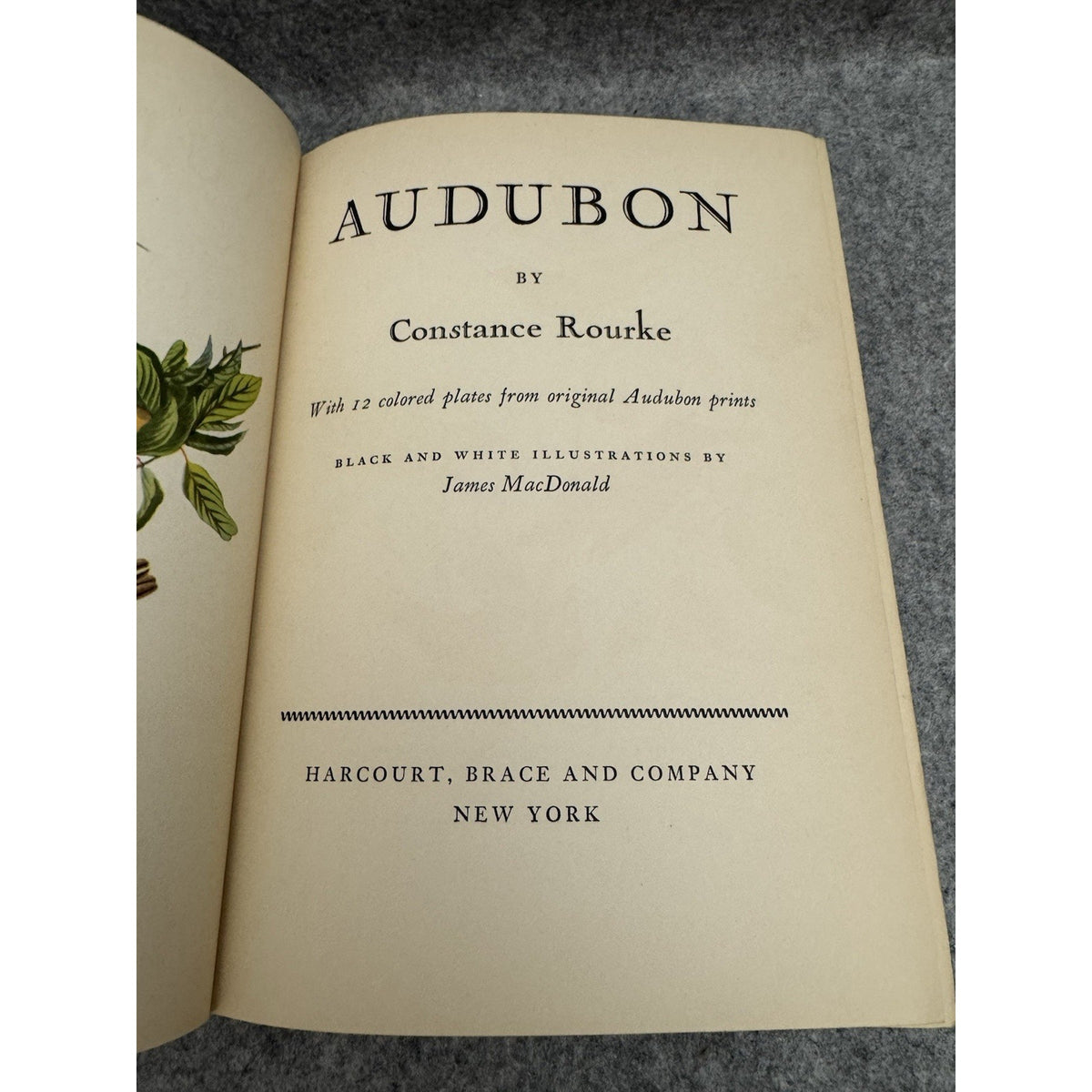 1936 Audubon Constance Rourke HC 12 Color Plates Bird Biography Nature