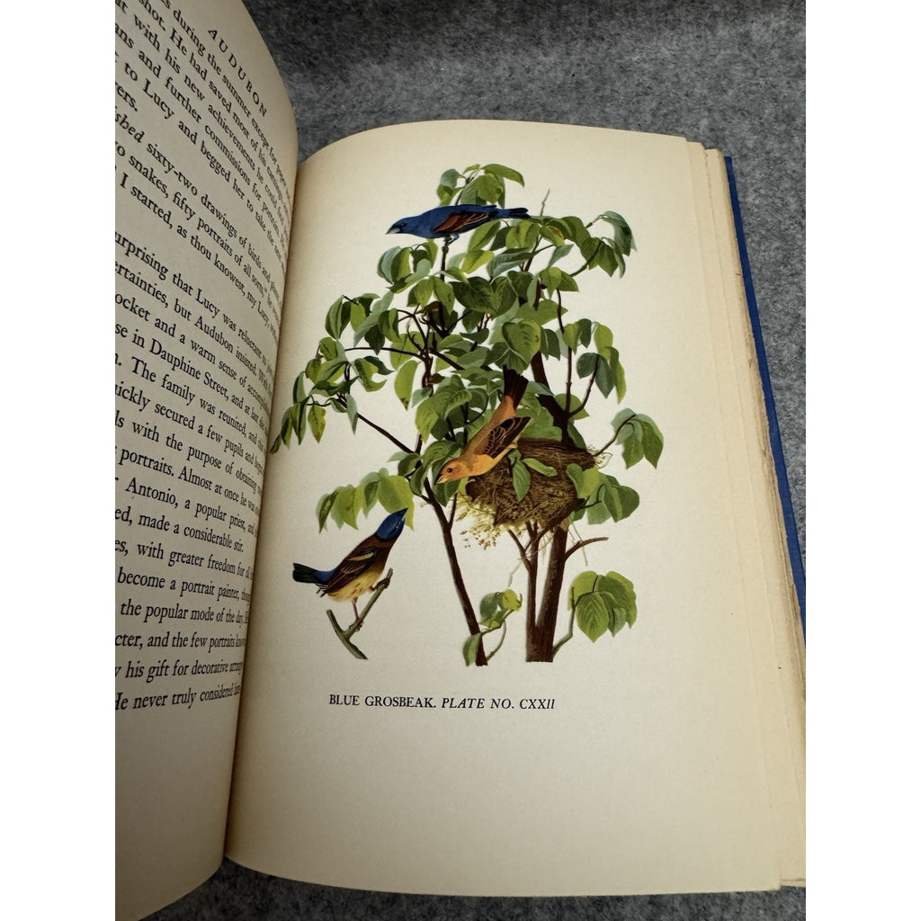 1936 Audubon Constance Rourke HC 12 Color Plates Bird Biography Nature
