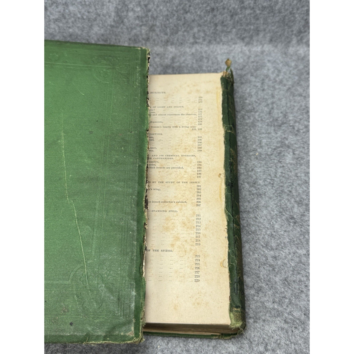 1875 The Insect Jules Michelet First English Edition Giacomelli Illustrated HC