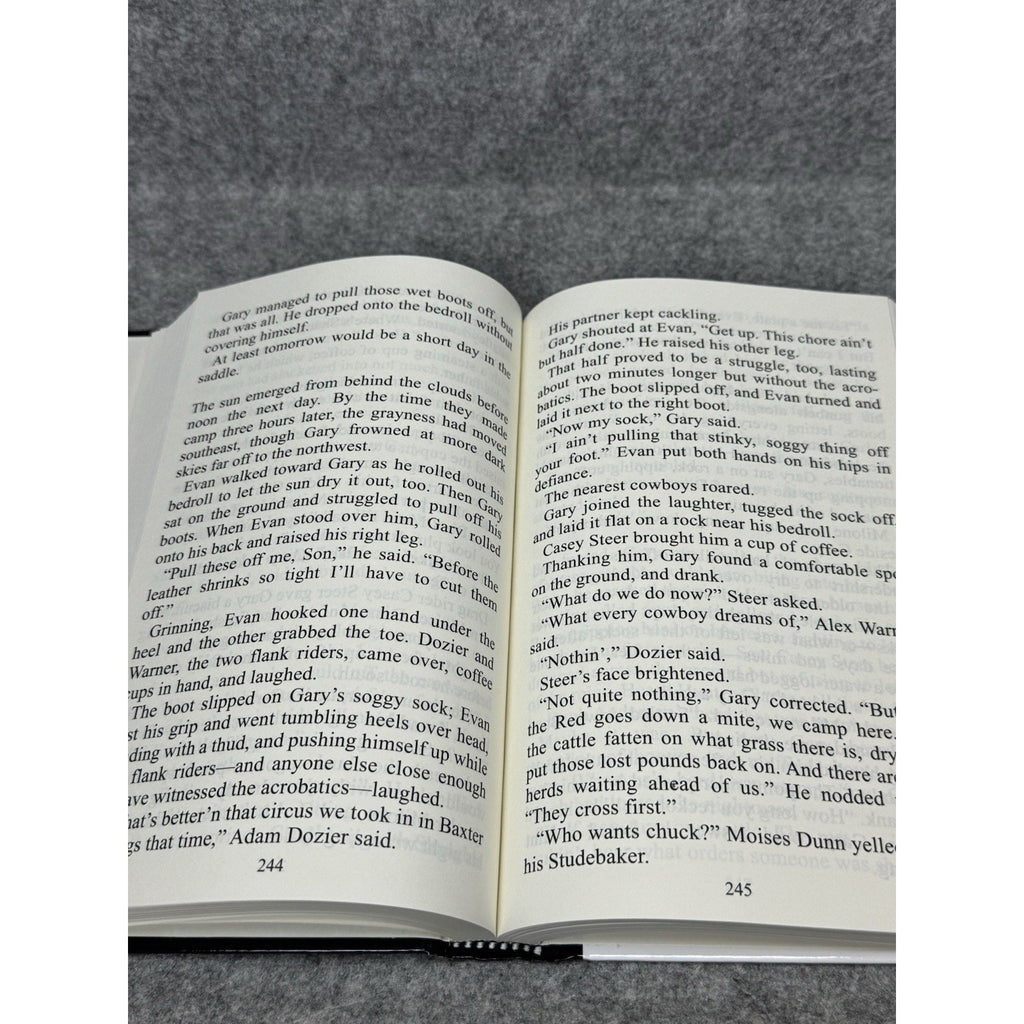 2024 Bloody Newton Town from Hell Johnny D Boggs Large Print Hardcover