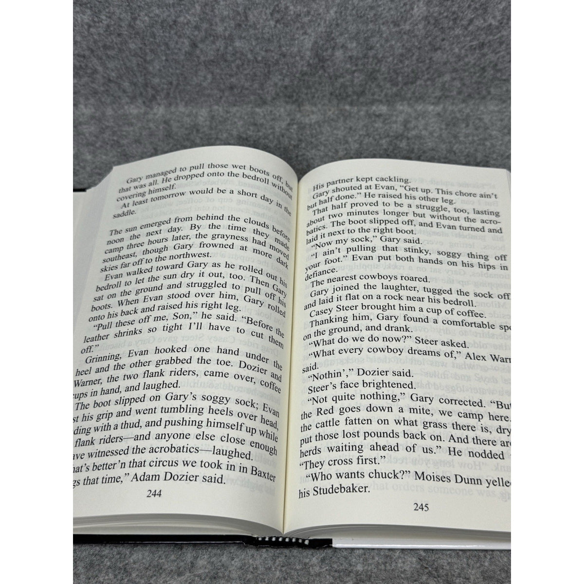 2024 Bloody Newton Town from Hell Johnny D Boggs Large Print Hardcover