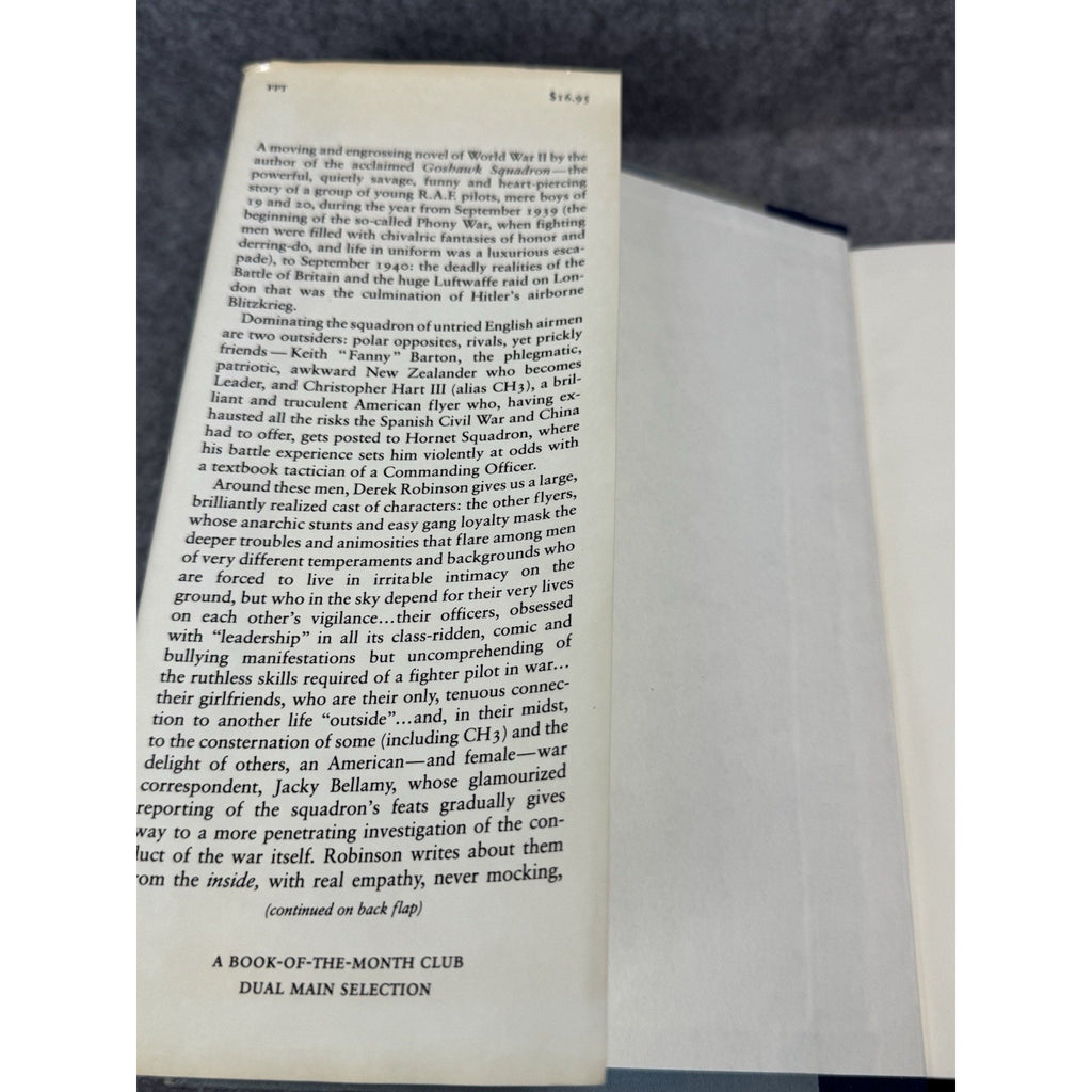 Piece of Cake Derek Robinson 1984 First American Edition WWII RAF Novel DJ