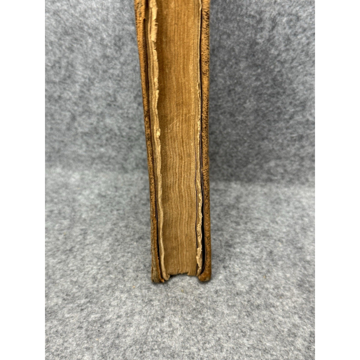 1849 Conversations on Natural Philosophy Marcet Blake Astronomy Plates Leather