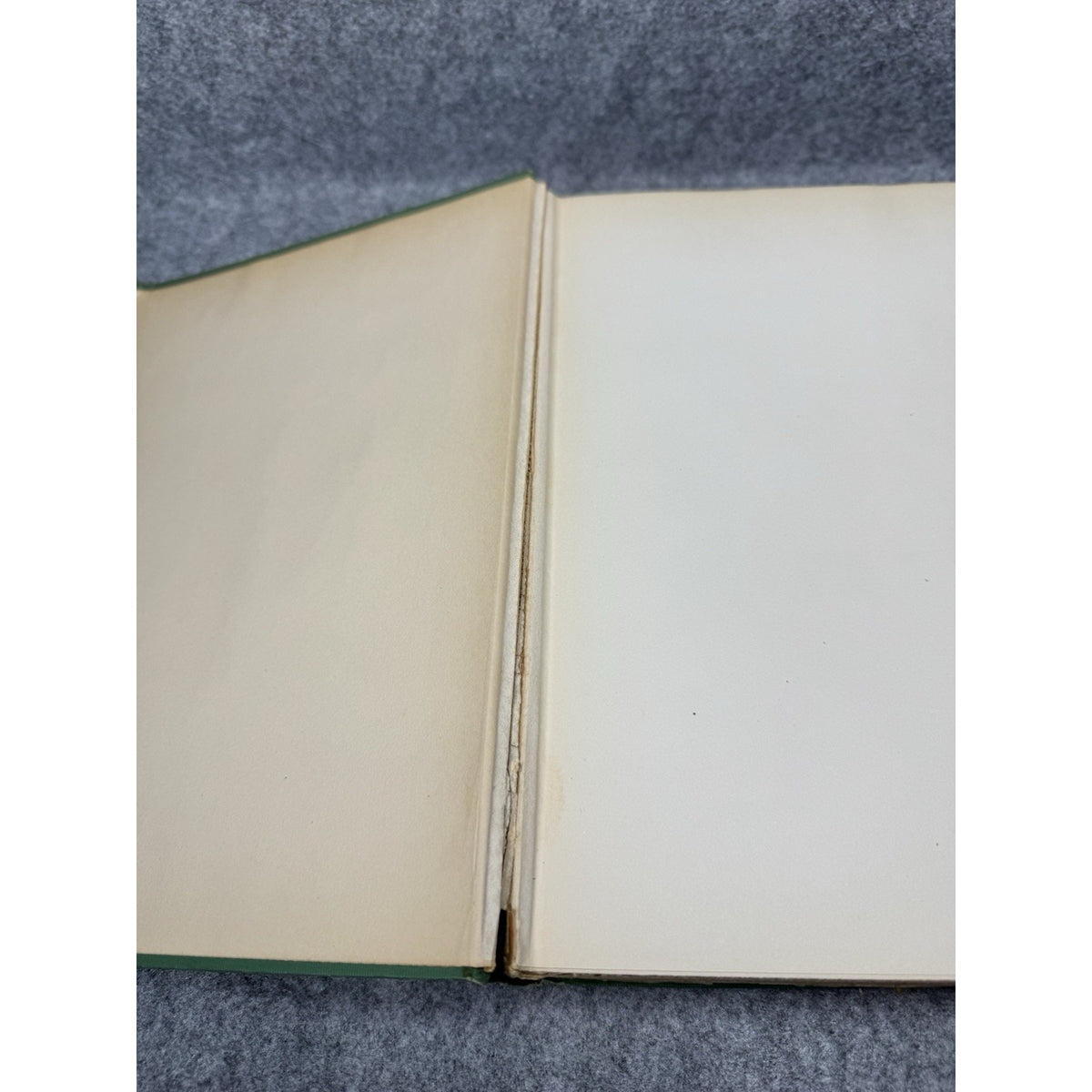1926 Fabre’s Book of Insects E J Detmold Color Plates Dodd Mead Gilt Hardcover