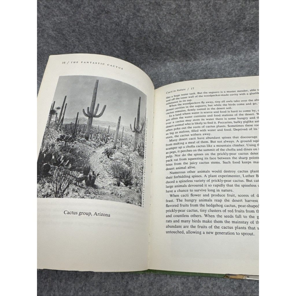 The Fantastic Cactus, Indoors and in Nature by Edith Raskin - Hardcover