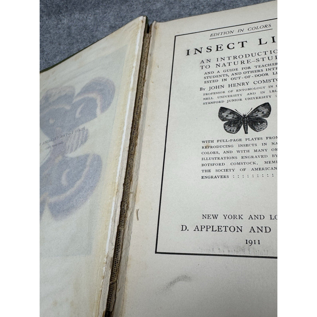 1911 Insect Life Comstock Color Plates Illustrated Entomology Hardcover