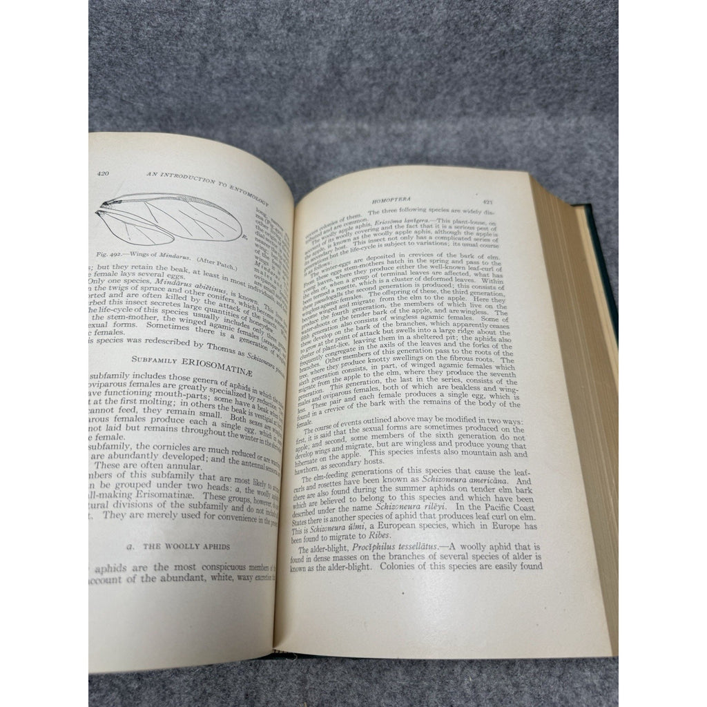1924 Introduction to Entomology Comstock First Complete Edition Illustrated HC
