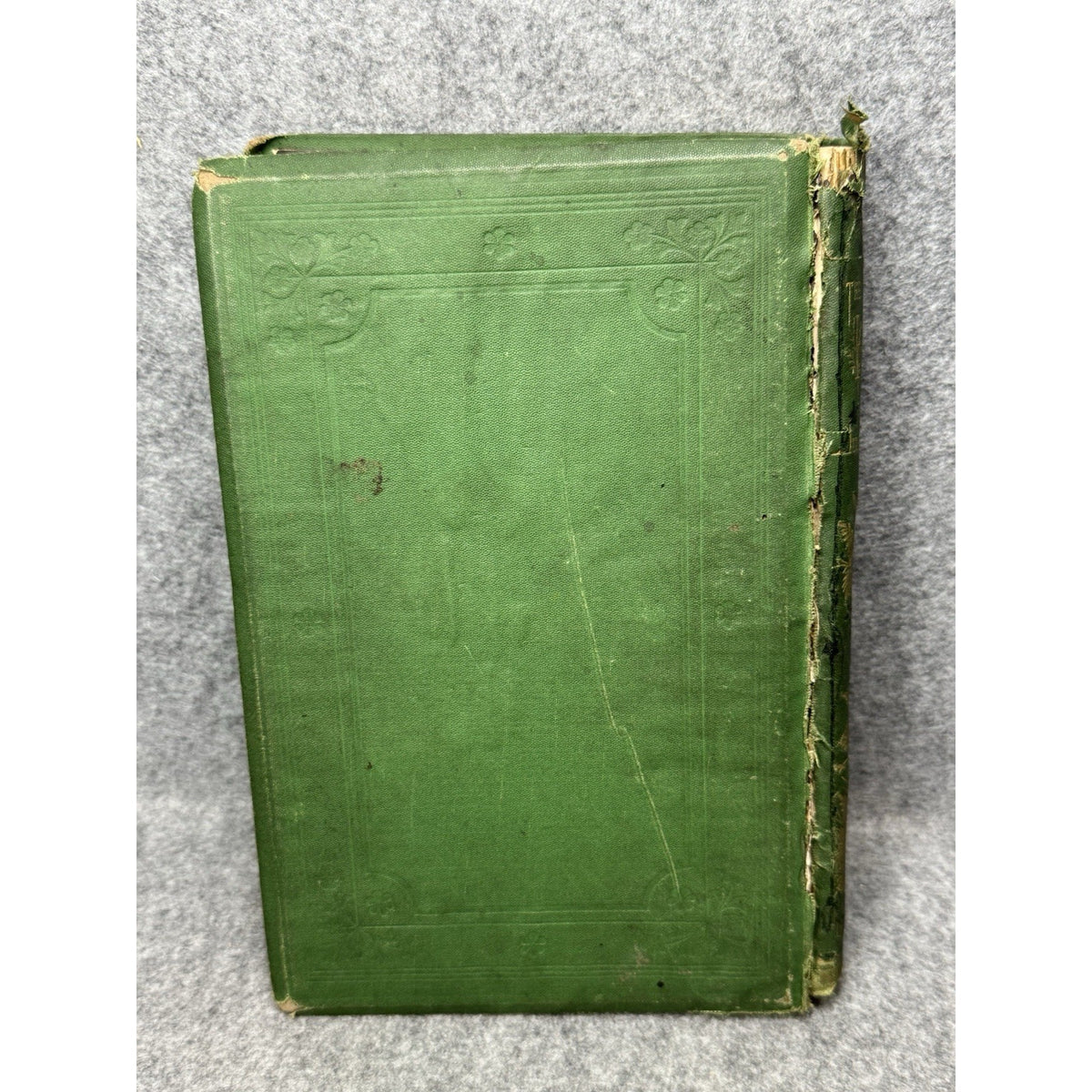 1875 The Insect Jules Michelet First English Edition Giacomelli Illustrated HC