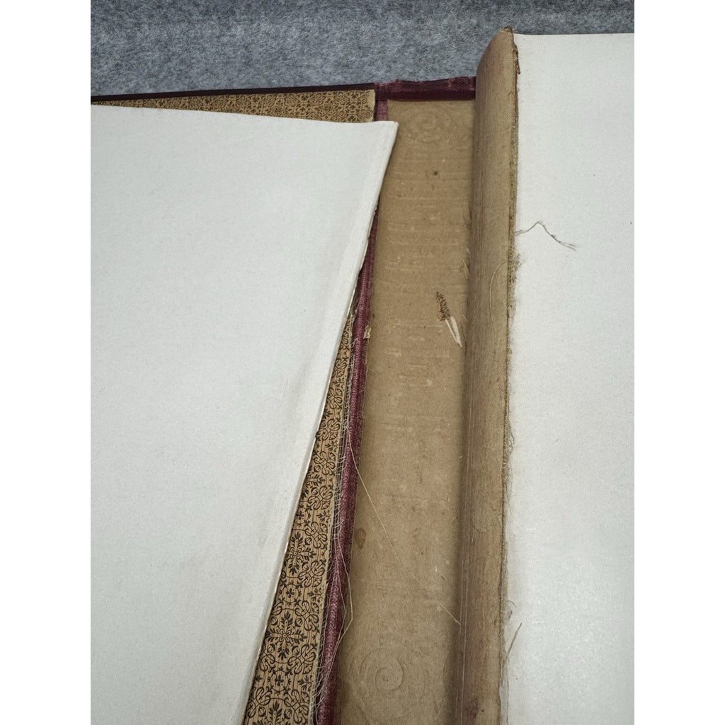 1907 Pennsylvania State Government in Picture and Story Rodearmel Illustrated