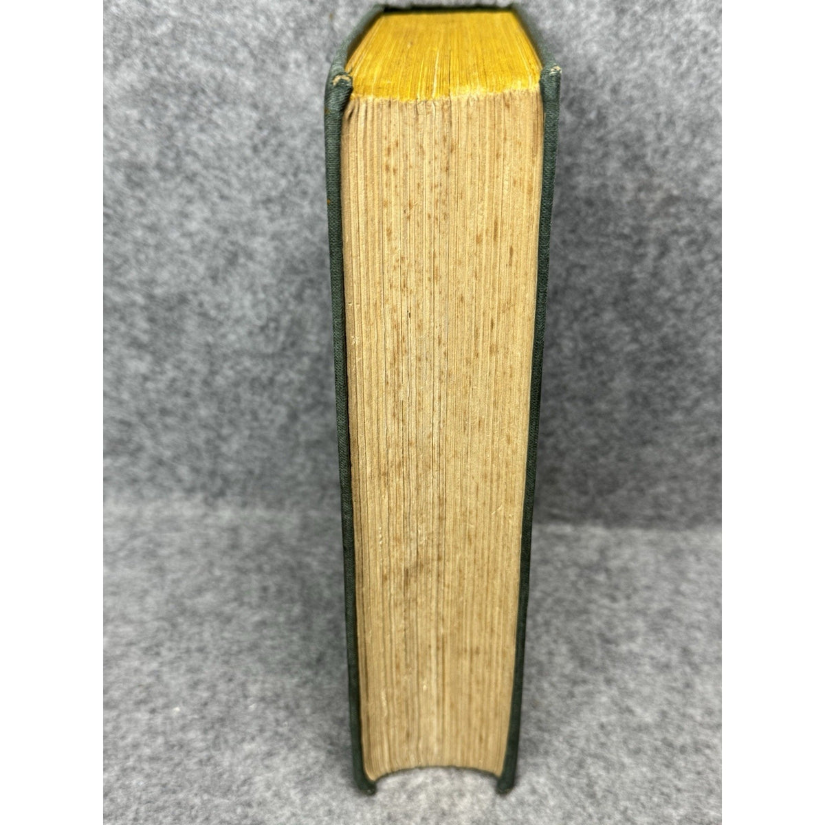 Steinhauer The Kaiser’s Master Spy 1930 1st Edition WWI Espionage Illustrated