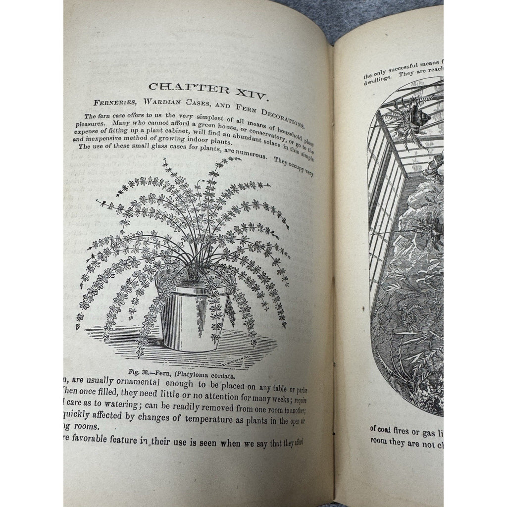 1877 Window Gardening Henry T Williams Illustrated Victorian Plants Hardcover