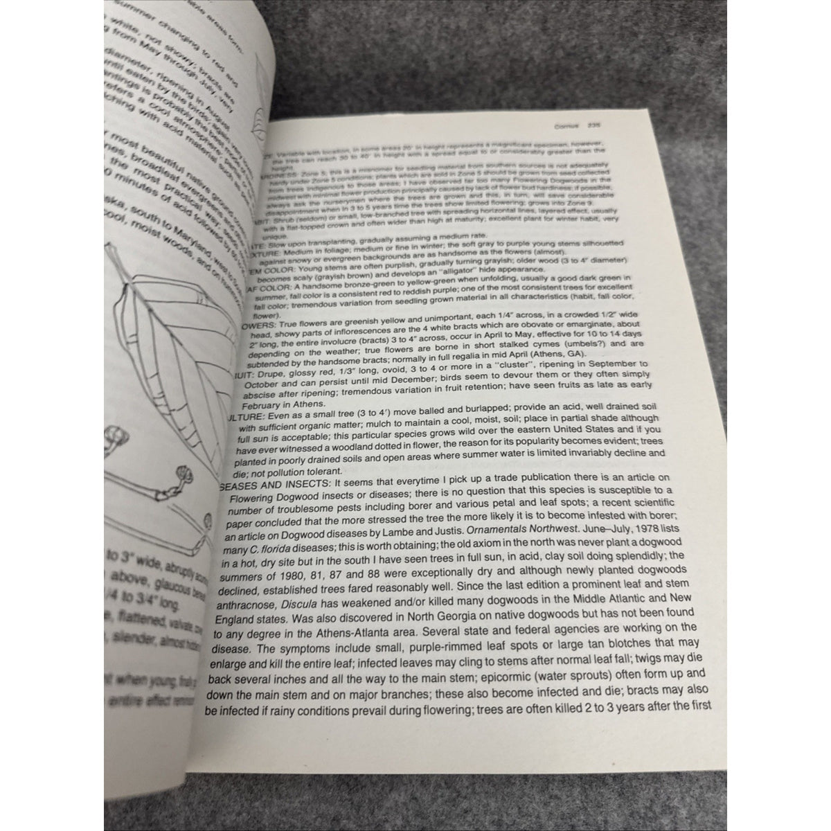 Manual of Woody Landscape Plants by Michael A. Dirr - 4th Edition 1990