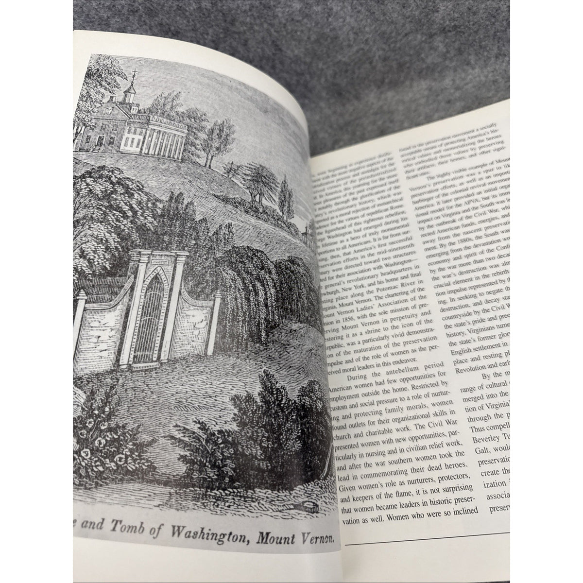White Gloves and Red Bricks : Apva, 1889-1989 Nancy Elizabeth Packer, Curator