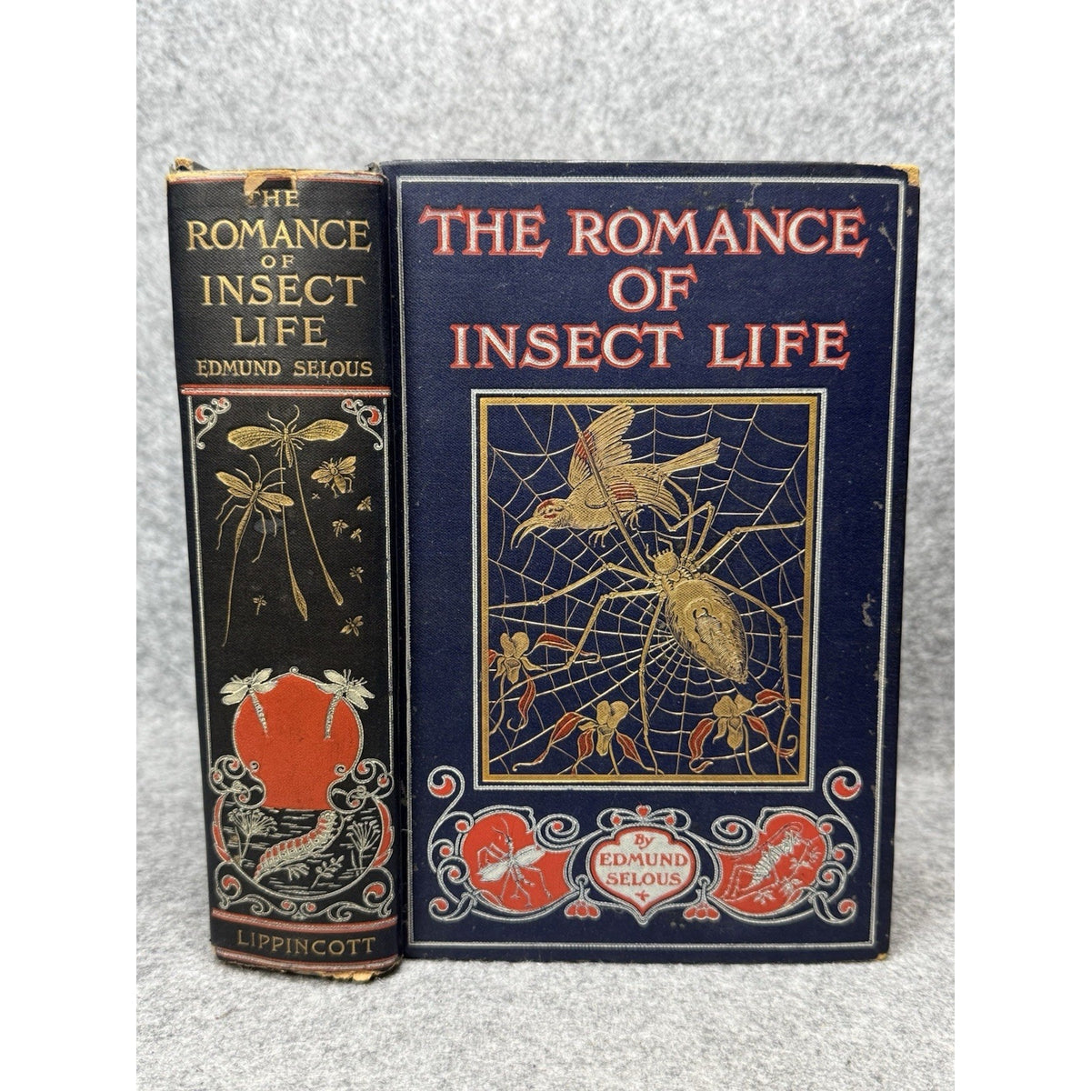 1906 The Romance of Insect Life Edmund Selous Illustrated Decorative Hardcover