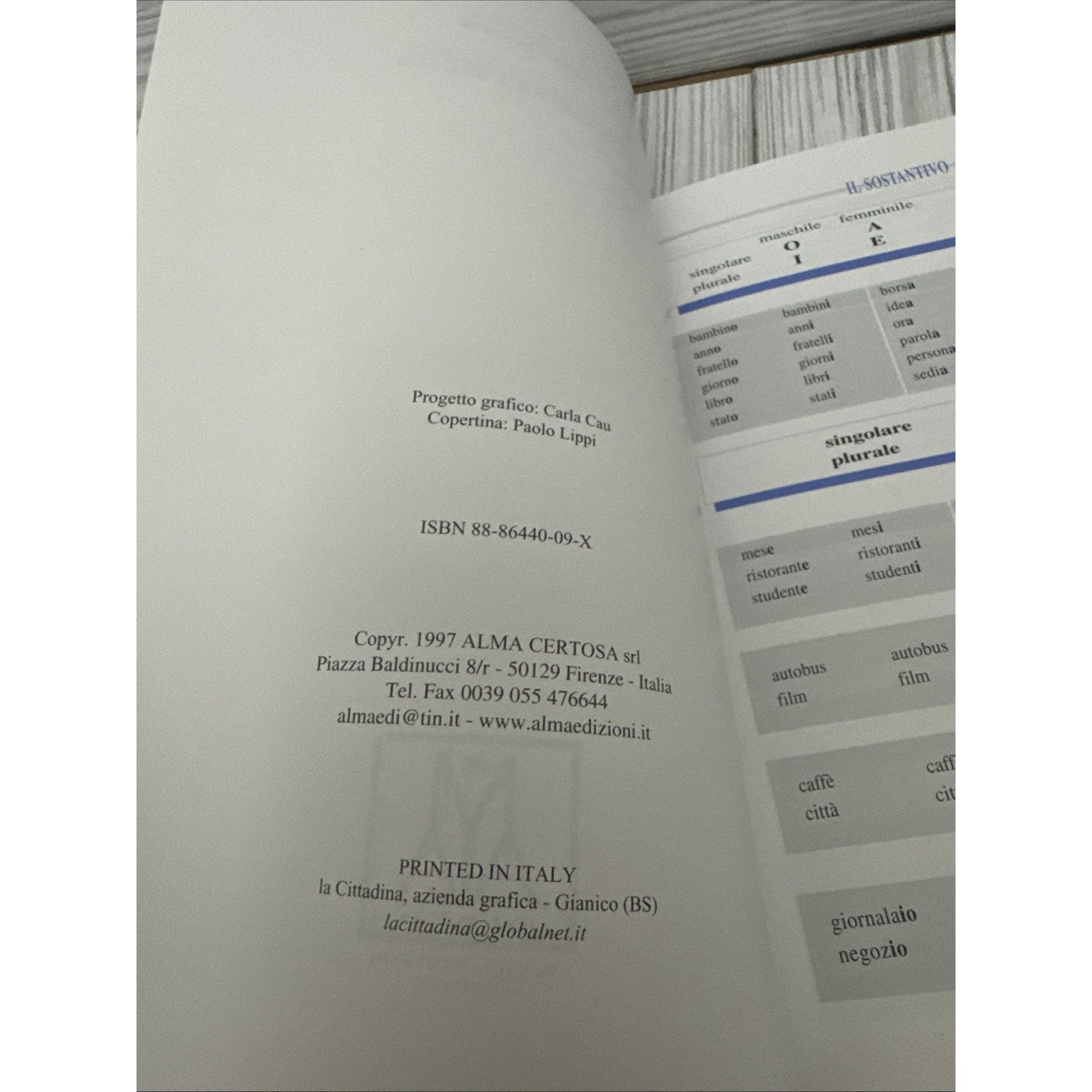 Grammatiche ALMA: Grammatica italiana by Tartaglione, Roberto Paperback