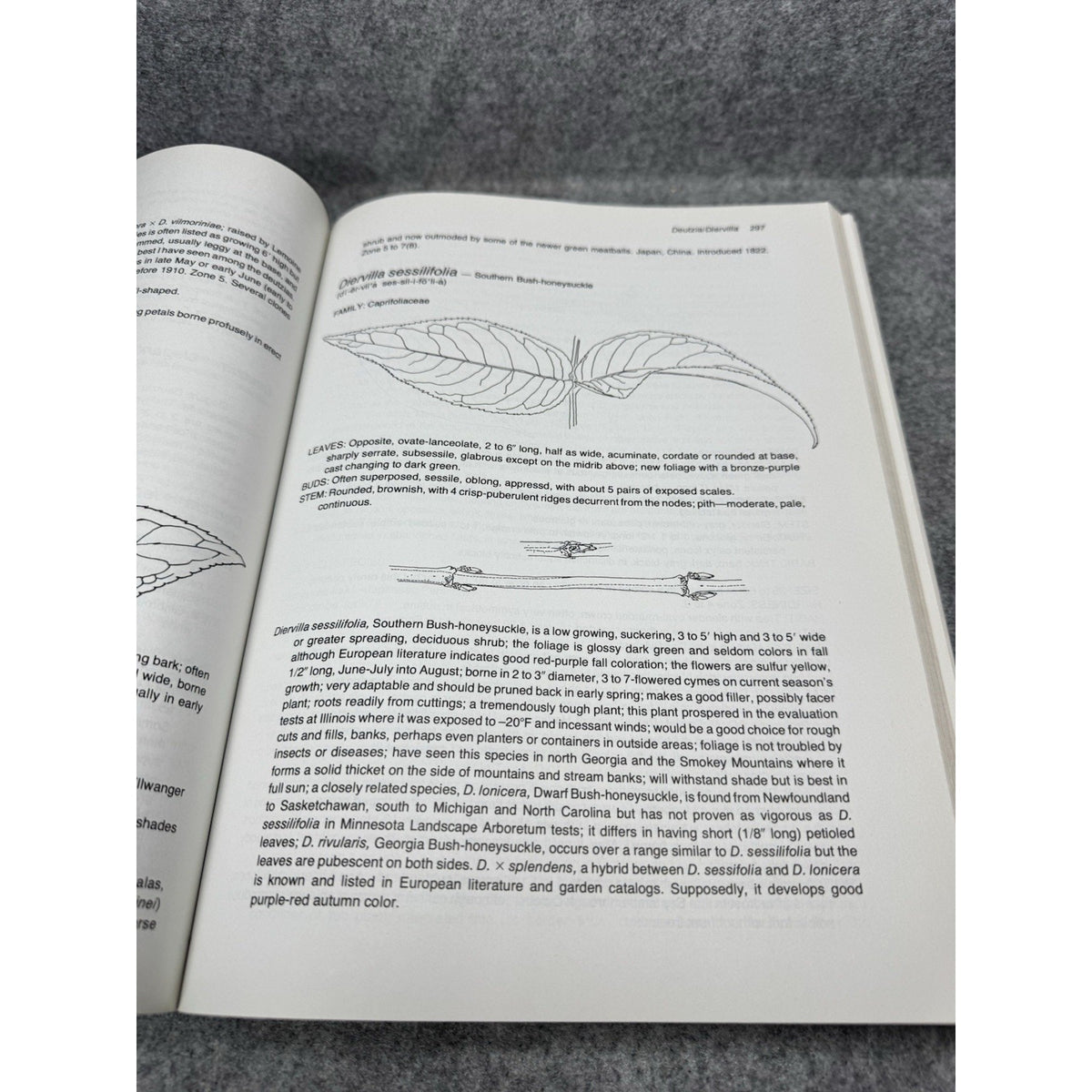 Manual of Woody Landscape Plants Michael A. Dirr 1990 4th Ed Horticulture