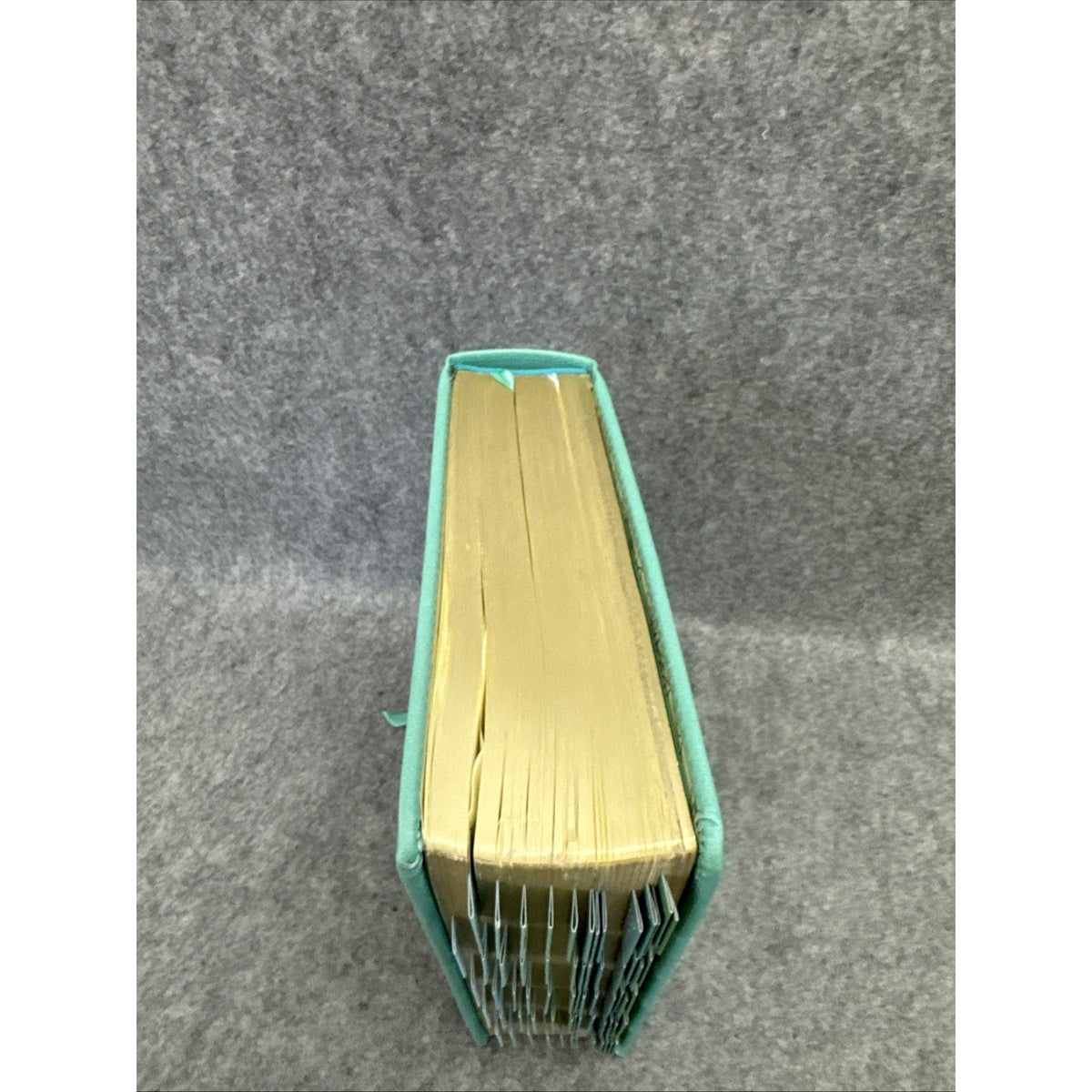 KJV Holy Bible, My Promise Bible, Faux Leather Hardcover w/Bible Tabs, Color...