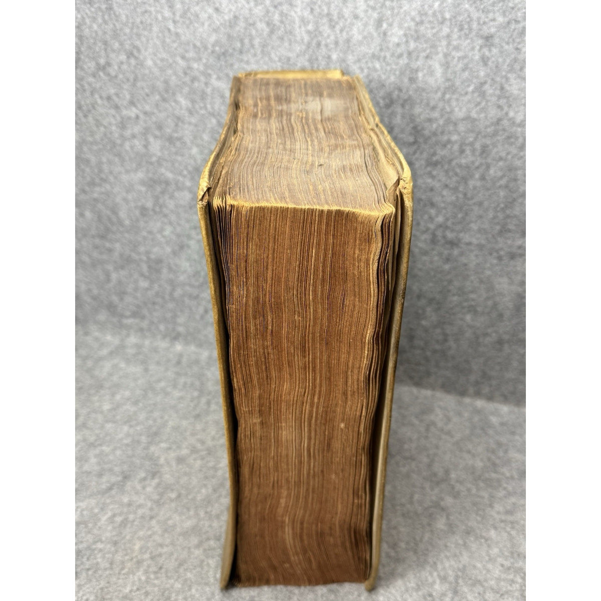 1660 Erasmus Paraphrasis New Testament Dutch Folio Thomas Fonteyn