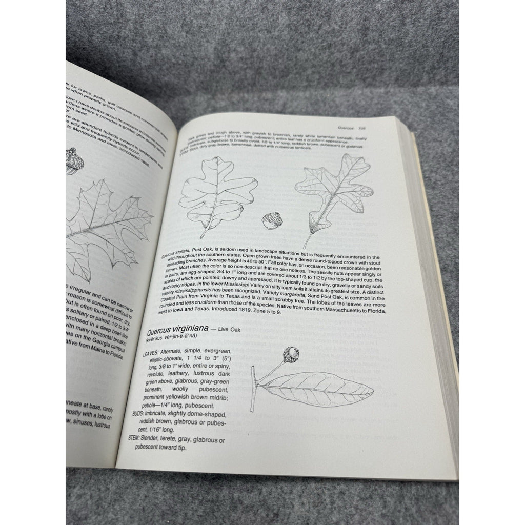 Manual of Woody Landscape Plants Michael A. Dirr 1990 4th Ed Horticulture