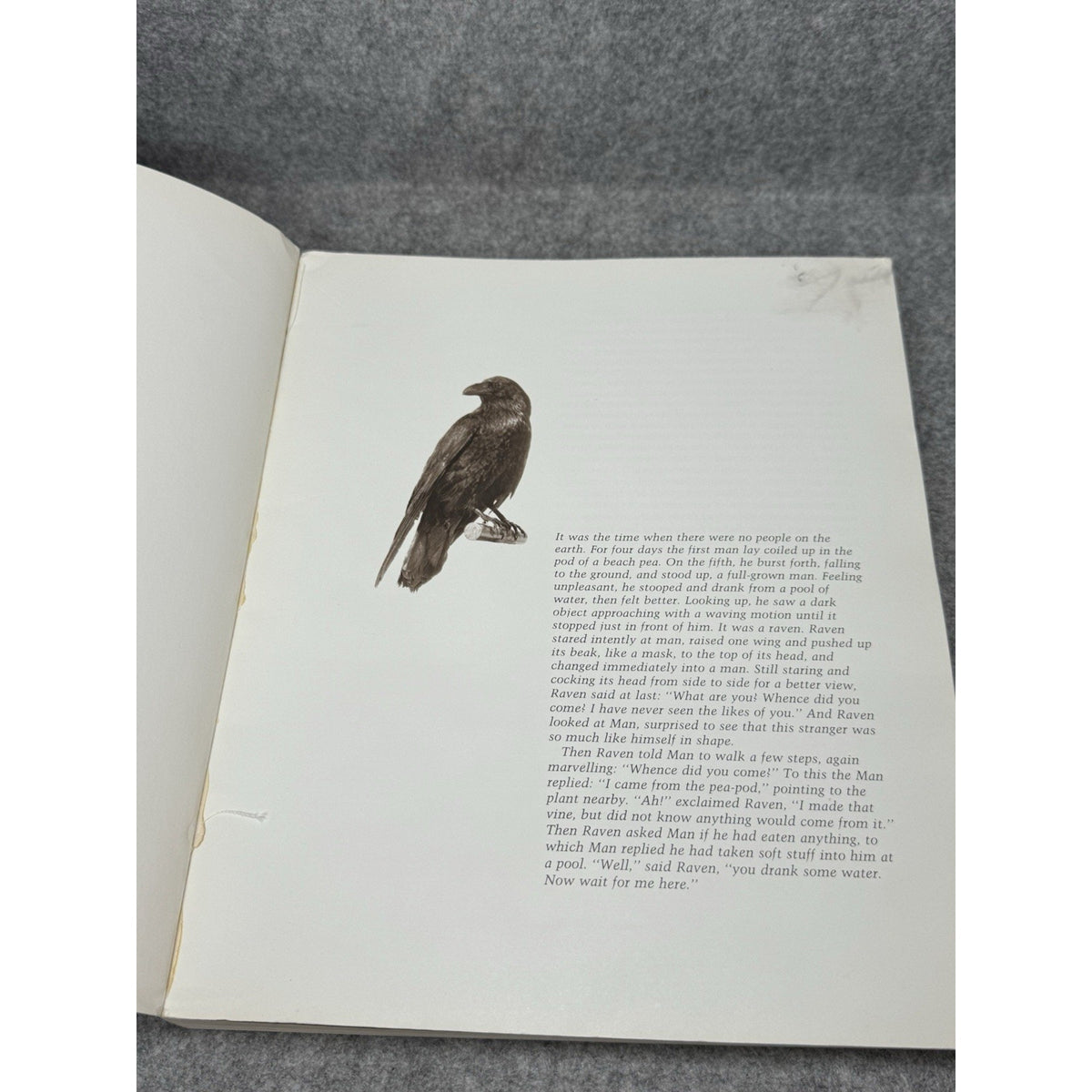 Inua Spirit World of the Bering Sea Eskimo 1982 Alaska Native Art Fitzhugh