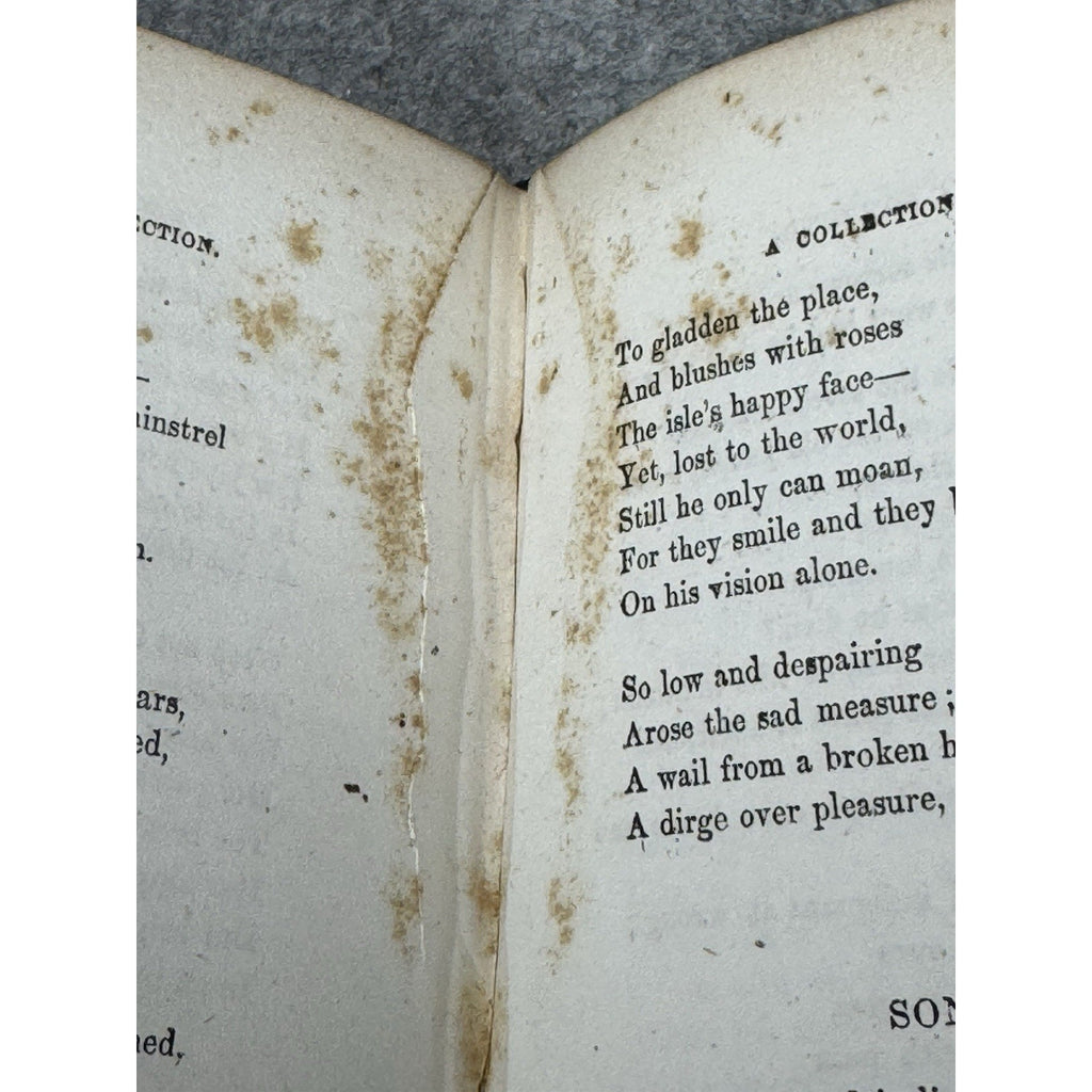Gloria and Other Poems C.W. Lownsbury 1864 Civil War Michigan Poetry