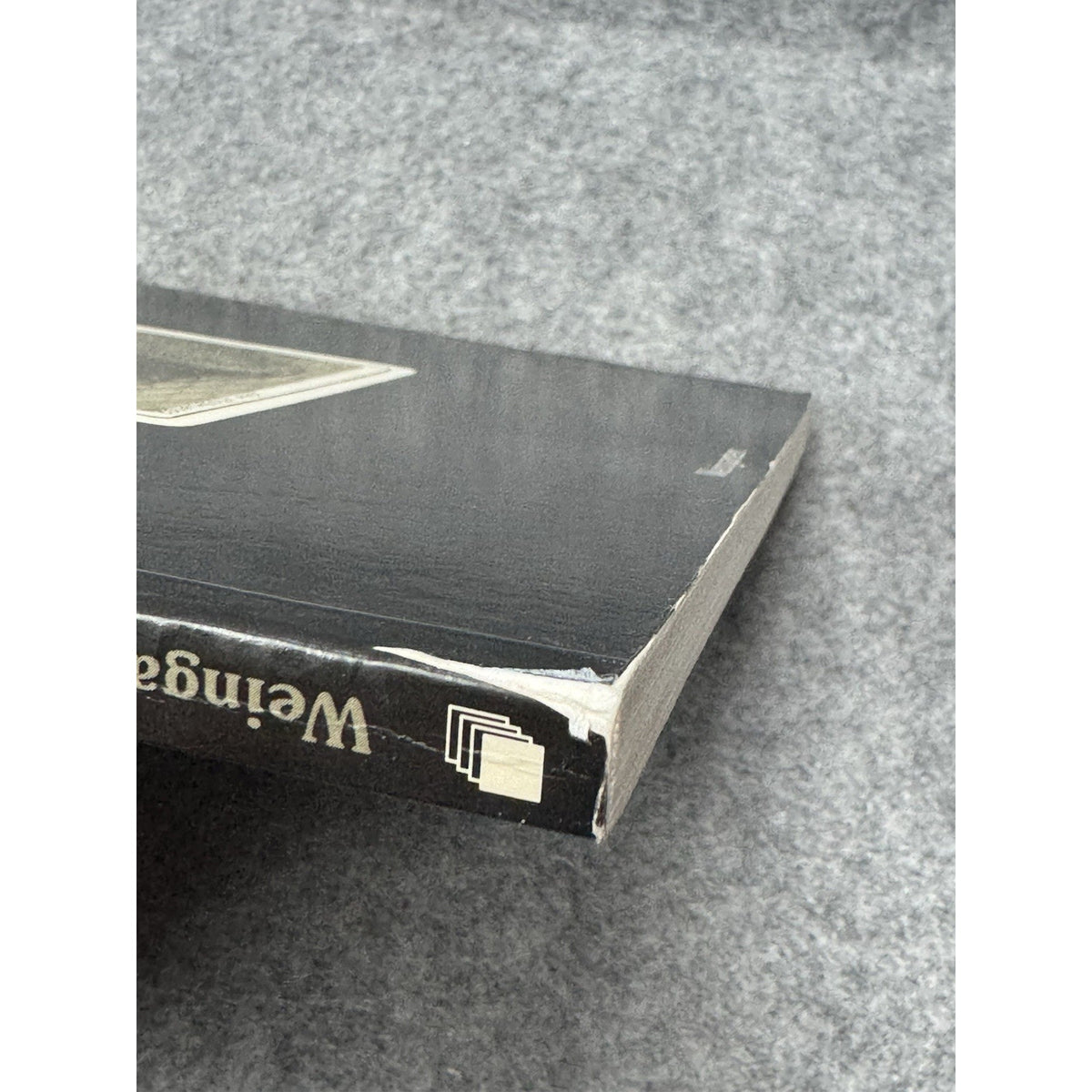 1989 Dogs in Focus 150 Years Photography Uwe Scheid Hunde vor der Kamera