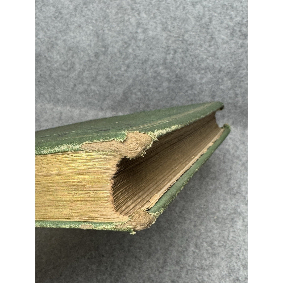 1875 The Insect Jules Michelet First English Edition Giacomelli Illustrated HC